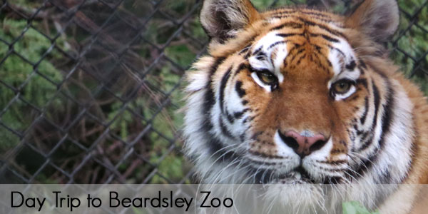 Beardsley zoo coupons discounts
