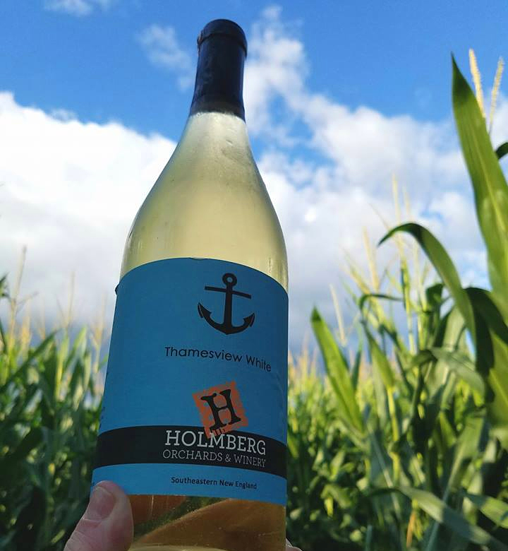 Holmberg Orchards Find the Wine: A Grown-Up Corn Maze Adventure