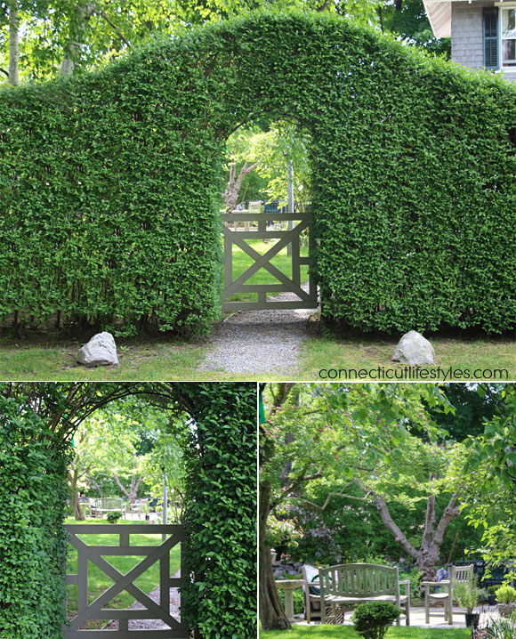 decorative hedges, arbors, garden ideas
