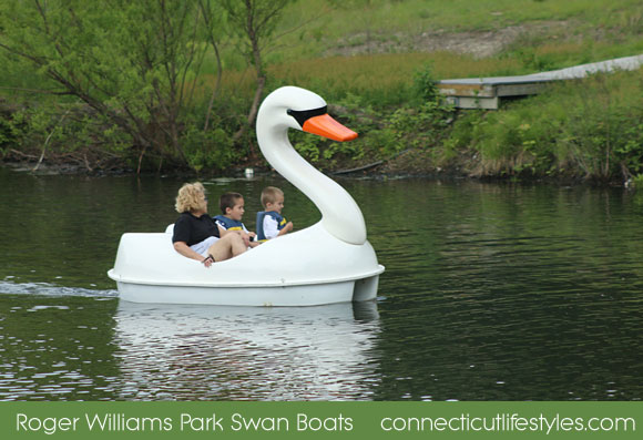 Swan Pedal Boats at the Roger Williams Park
