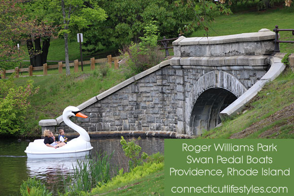 Swan Pedal Boats at the Roger Williams Park, Rhode Island