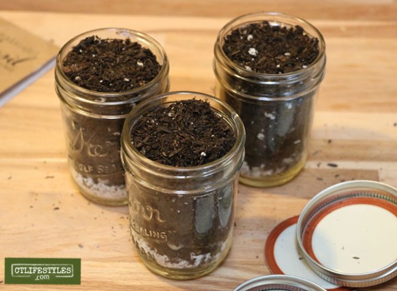 How to Create a Mason Jar Herb Garden