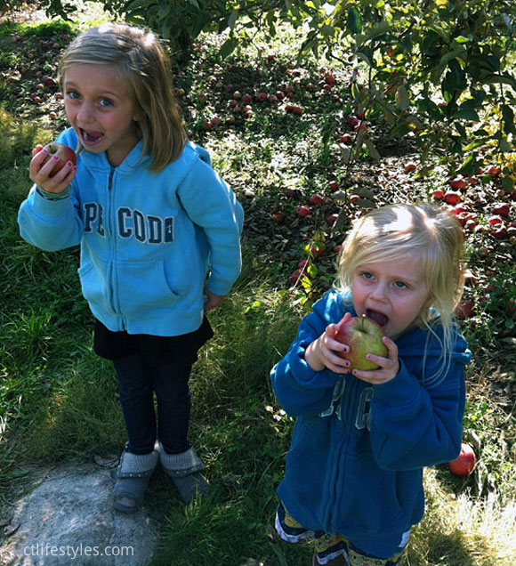 Pick Your Own Berries, Fruit & Pumpkins at Lyman Orchards