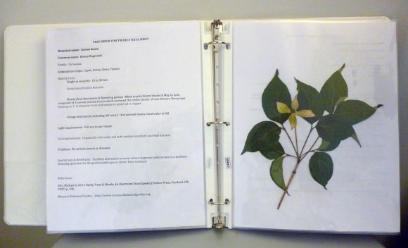 An intern project notebook containing samples and descriptions of various plants