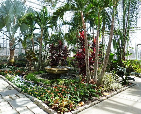 Fairy Gardens at Roger Williams Botanical Center