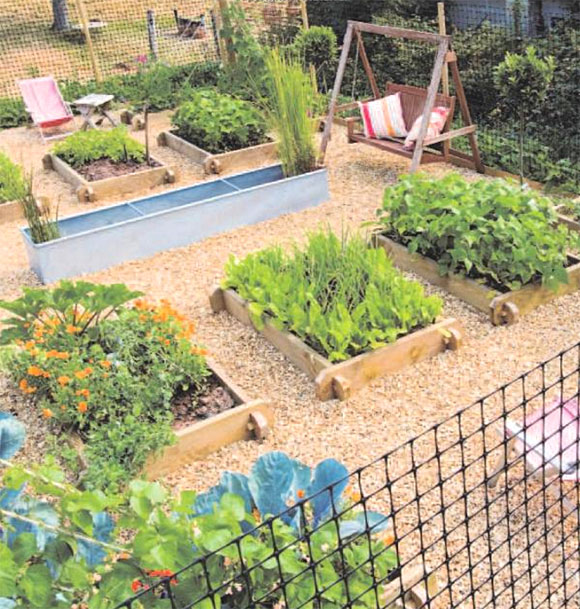 How to build a raised garden