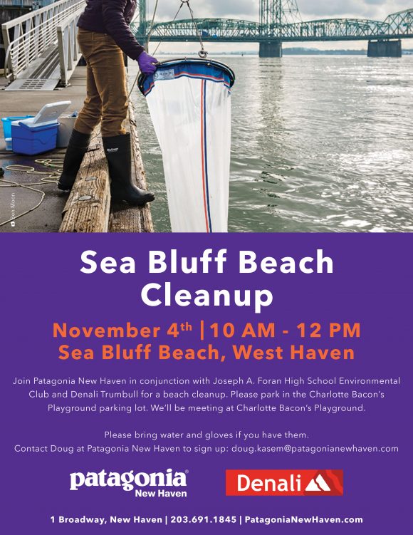 Sea Bluff Beach Cleanup in West Haven