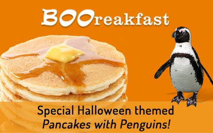 Mystic Aquarium Boo-reakfast with Halloween themed Pancakes and Penguins