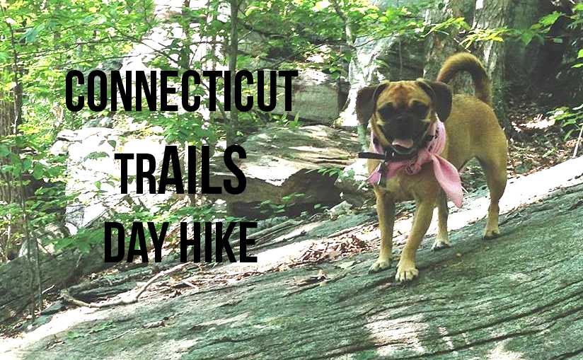 Connecticut TrAILS Day Hike