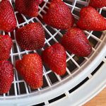How To Dehydrate Fruits and Vegetables