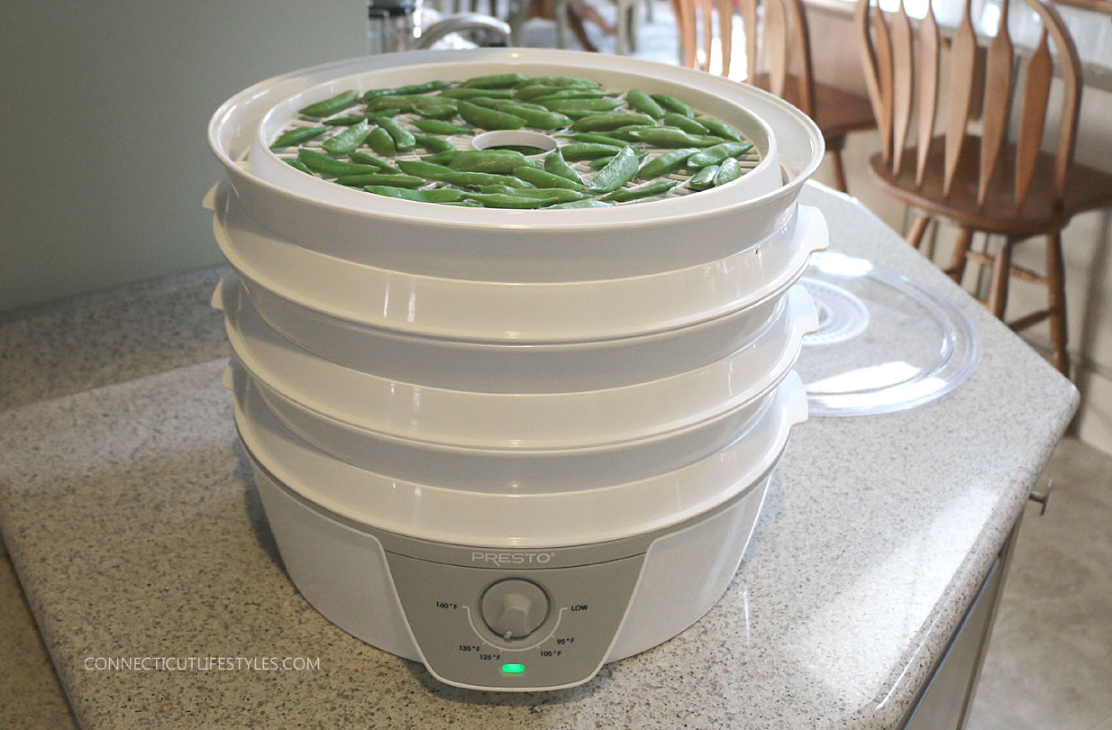 How To Dehydrate Fruits and Vegetables