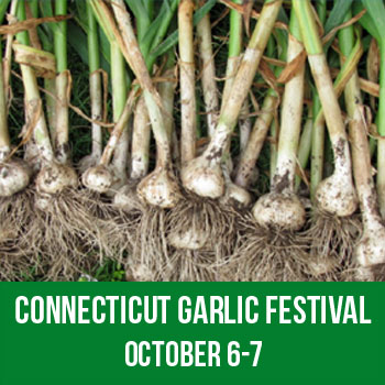 Connecticut Garlic & Harvest Festival