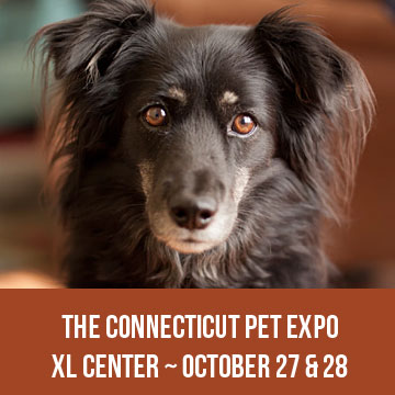 The Connecticut Pet Expo