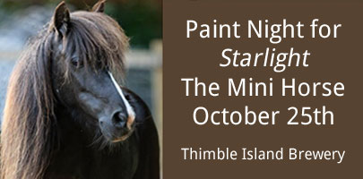 Paint Night at Thimble Island Brewery for Starlight the mini horse