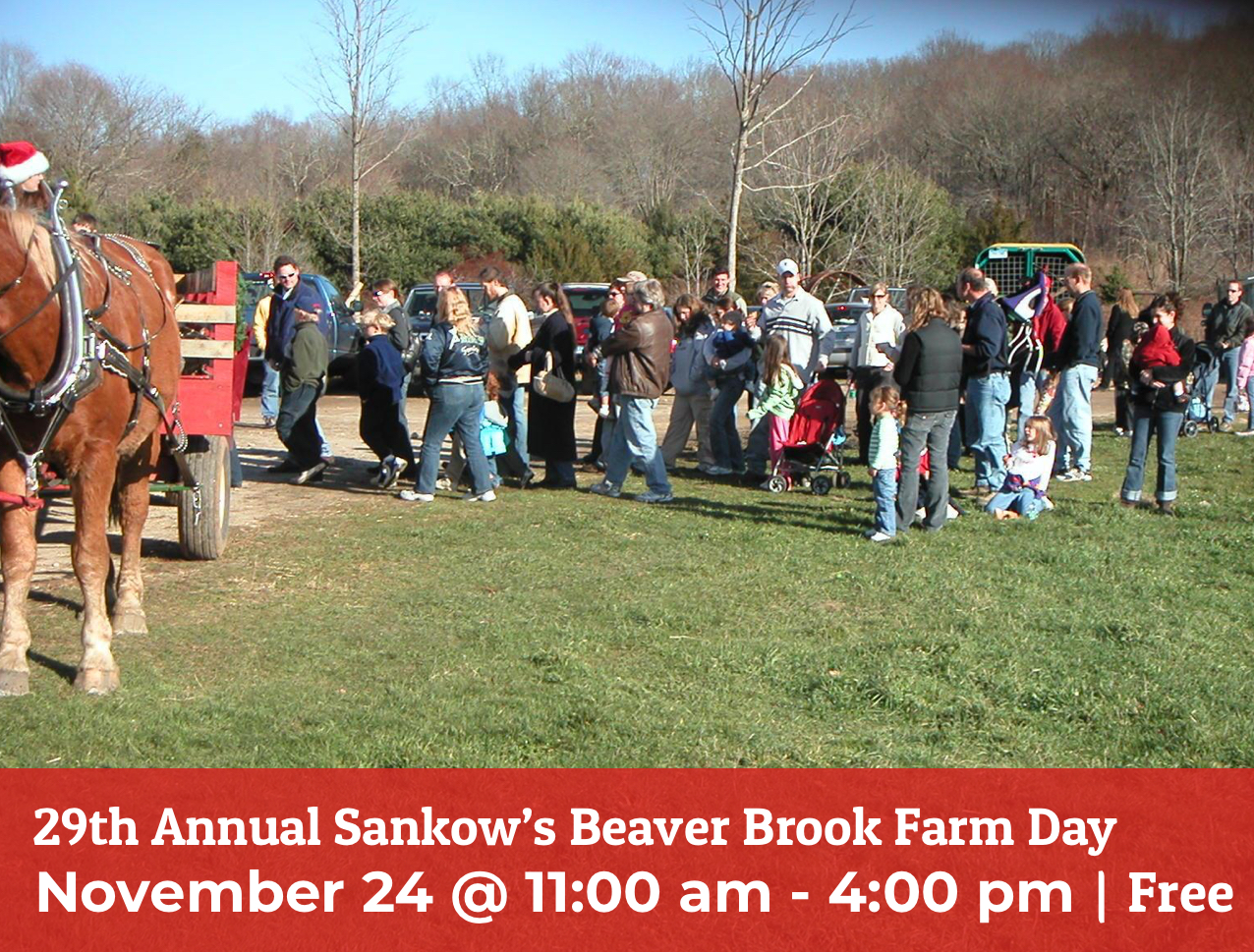 Annual Sankow’s Beaver Brook Farm Day