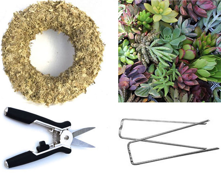 Supplies Needed to Make a Succulent Wreath
