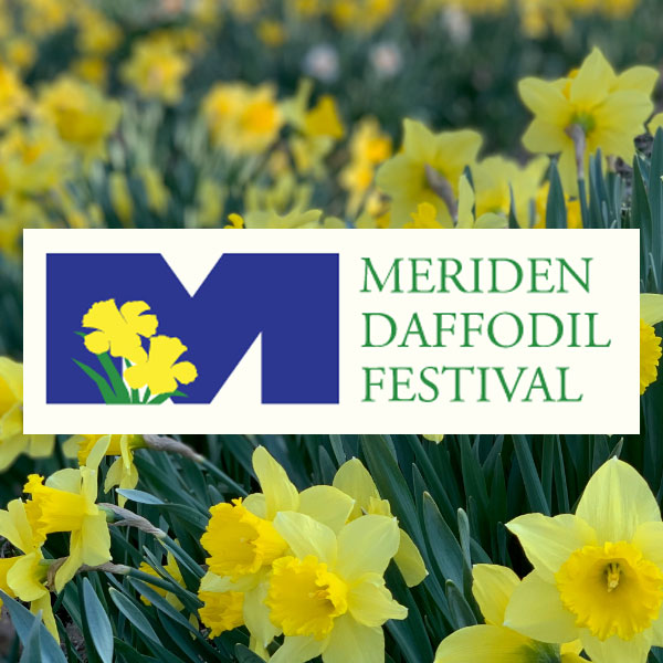 The Annual Meriden Daffodil Festival at Hubbard Park