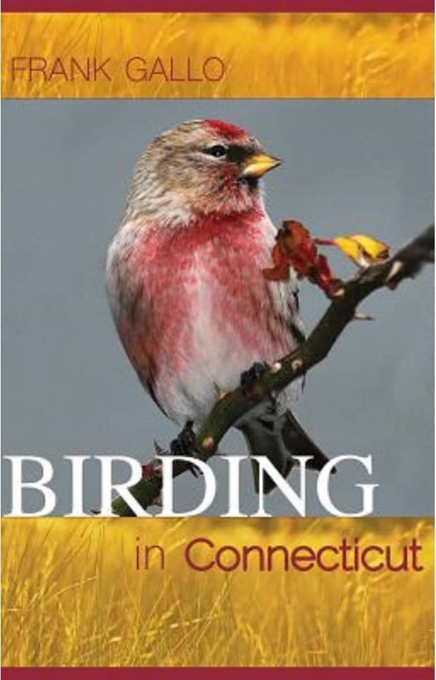 Talk: Birding in Connecticut by Frank Gallo at Meigs Point Nature Center