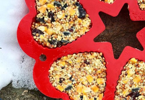 How to Make Bird Seed Heart Treats and Wreaths