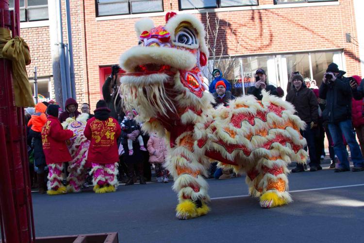 Lunarfest 2019 New Haven: Celebrate the Year of the Pig