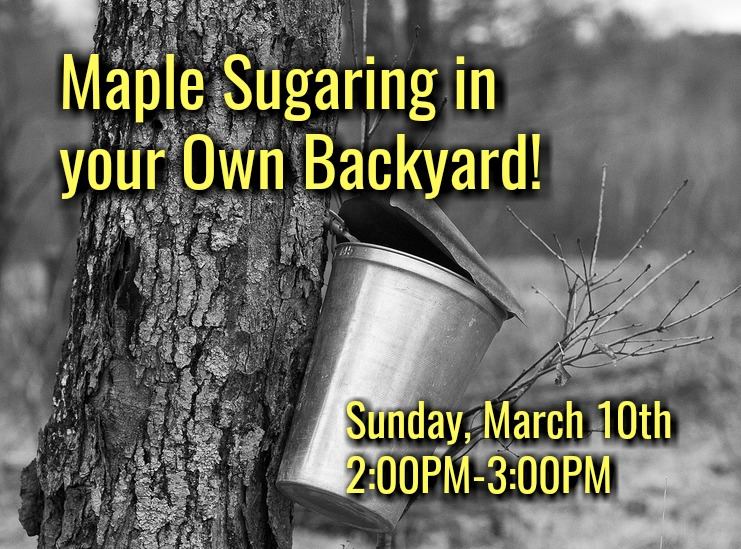 Maple Sugaring at Roaring Brook Nature Center