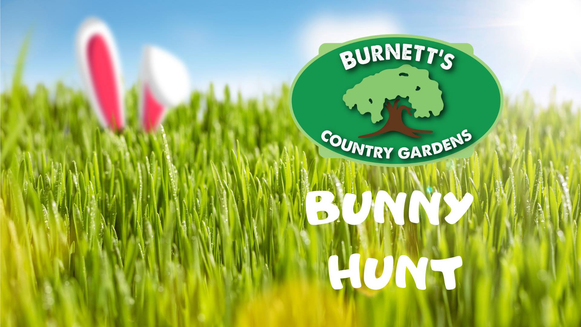 Annual Burnett's Country Gardens Bunnies Hunt