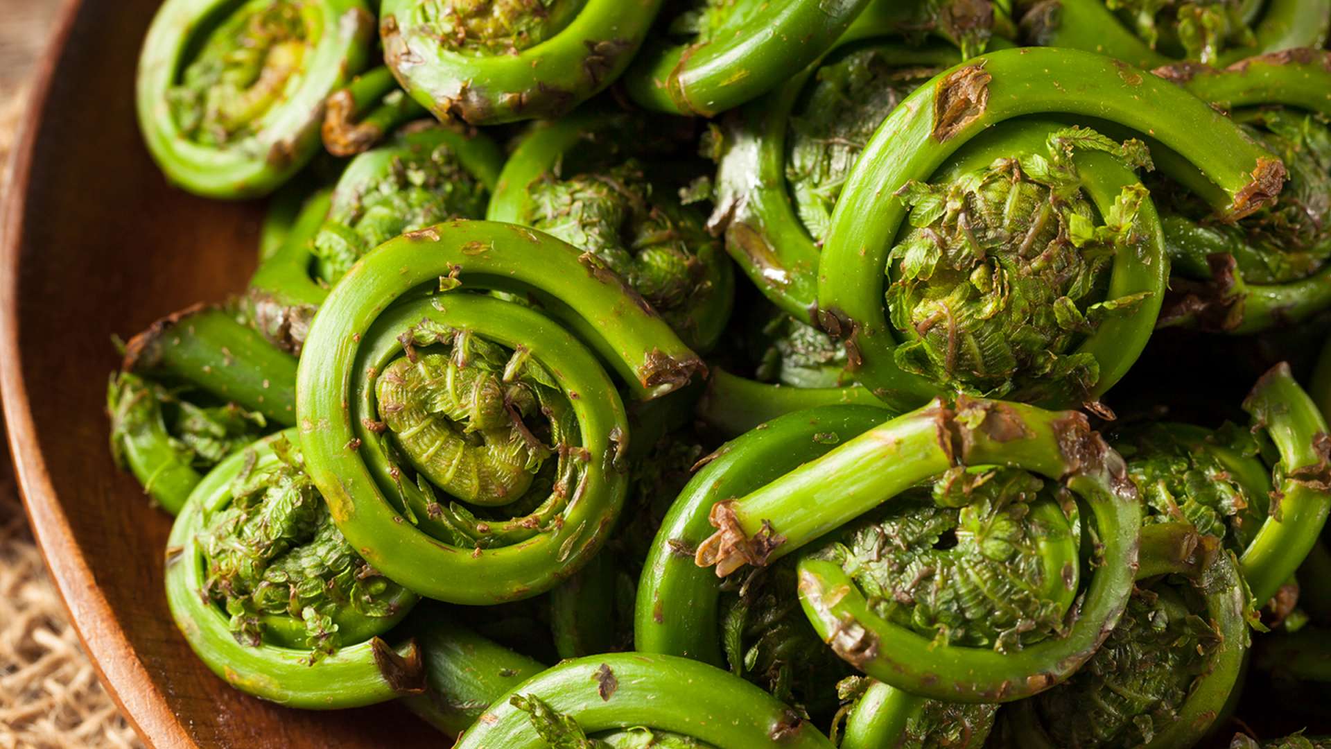 Learn to Prepare Fiddleheads at Fiddleheads Food Co-op
