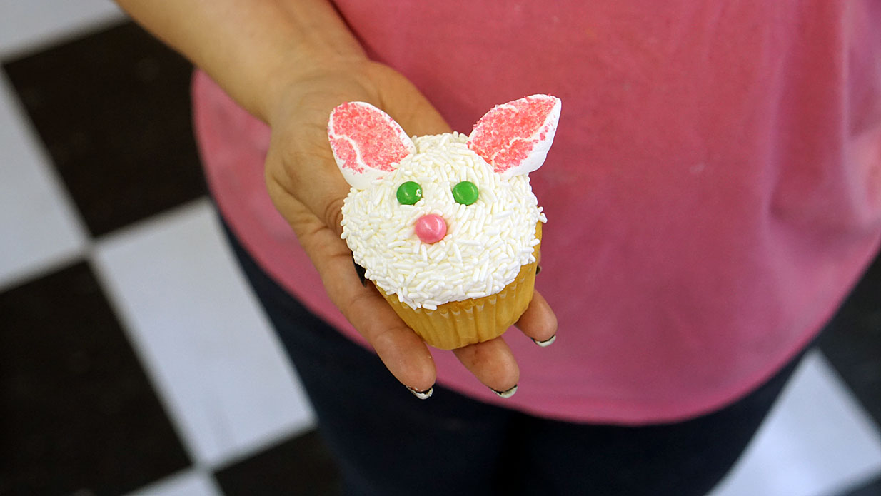 The Cake Lady Cupcake Decorating Classes New London