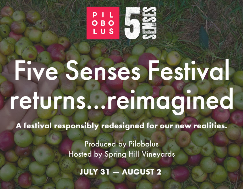 The Annual Five Senses Festival Returns to Litchfield County