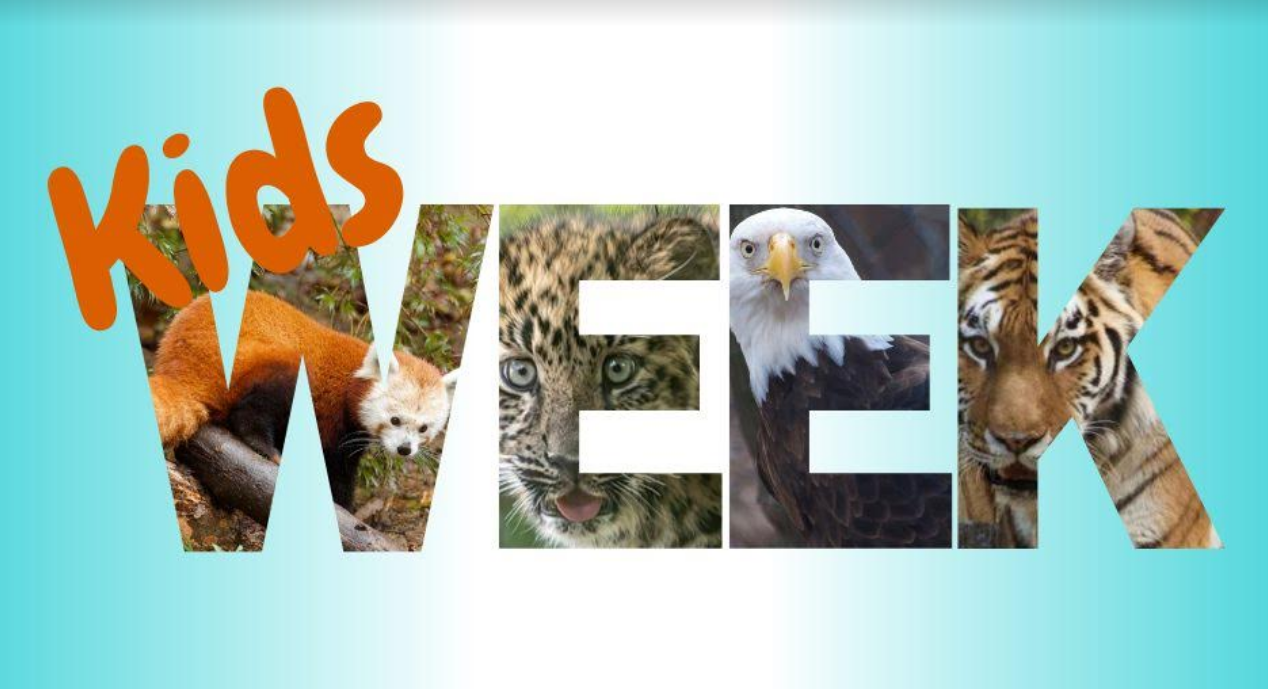 Connecticut’s Beardsley Zoo Hosts First Kids Week July 15-21