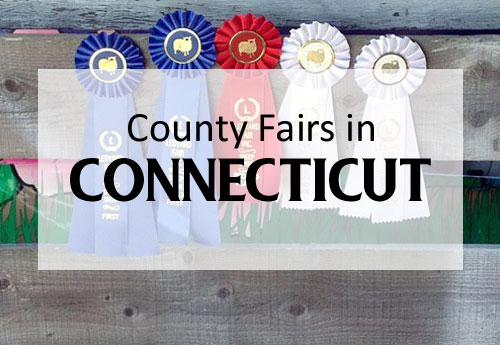 Fall County Fairs and Festivals in Connecticut
