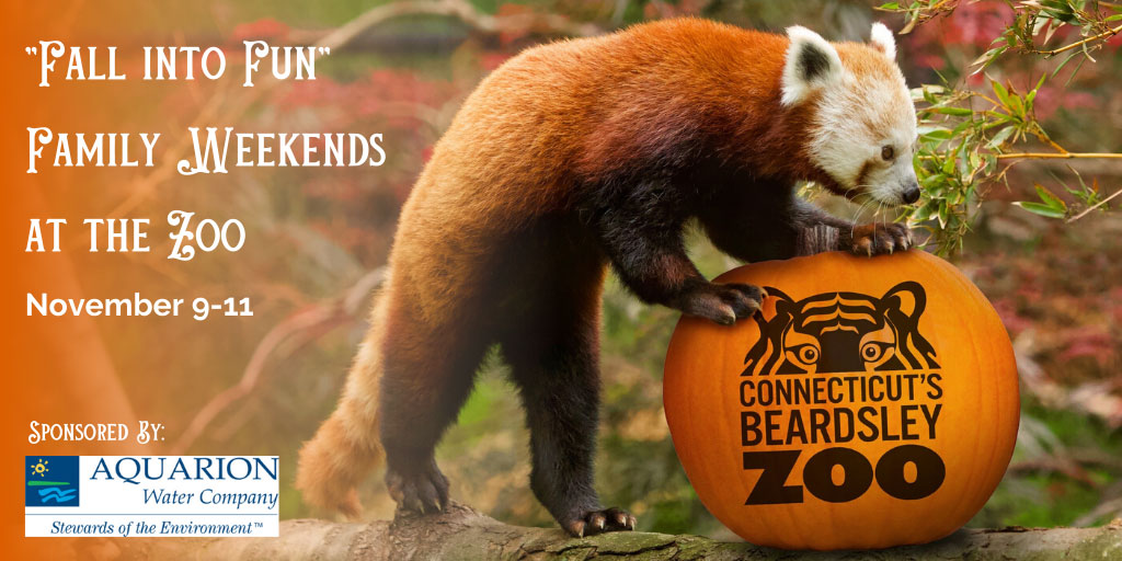 Fall into Fun Family Weekends at Connecticut's Beardsley Zoo