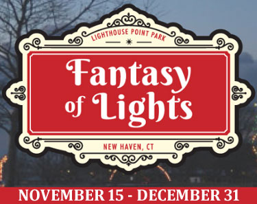 Goodwill of Southern New England Fantasy of Lights