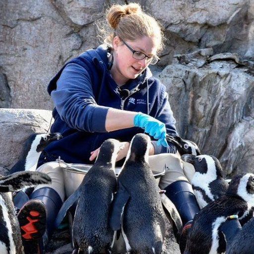 Mystic Aquarium Public Trainer Days