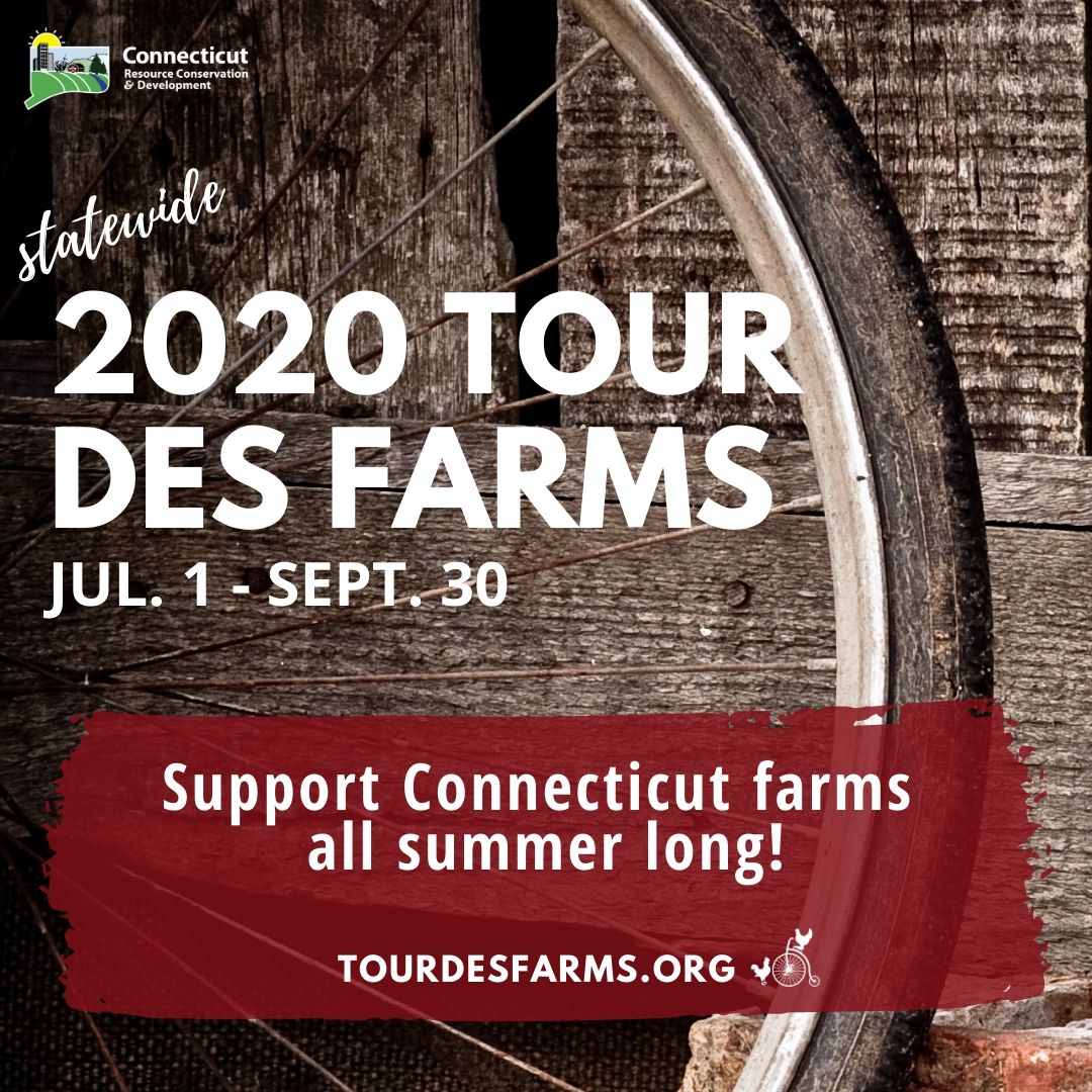 Connecticut Tour des Farms
