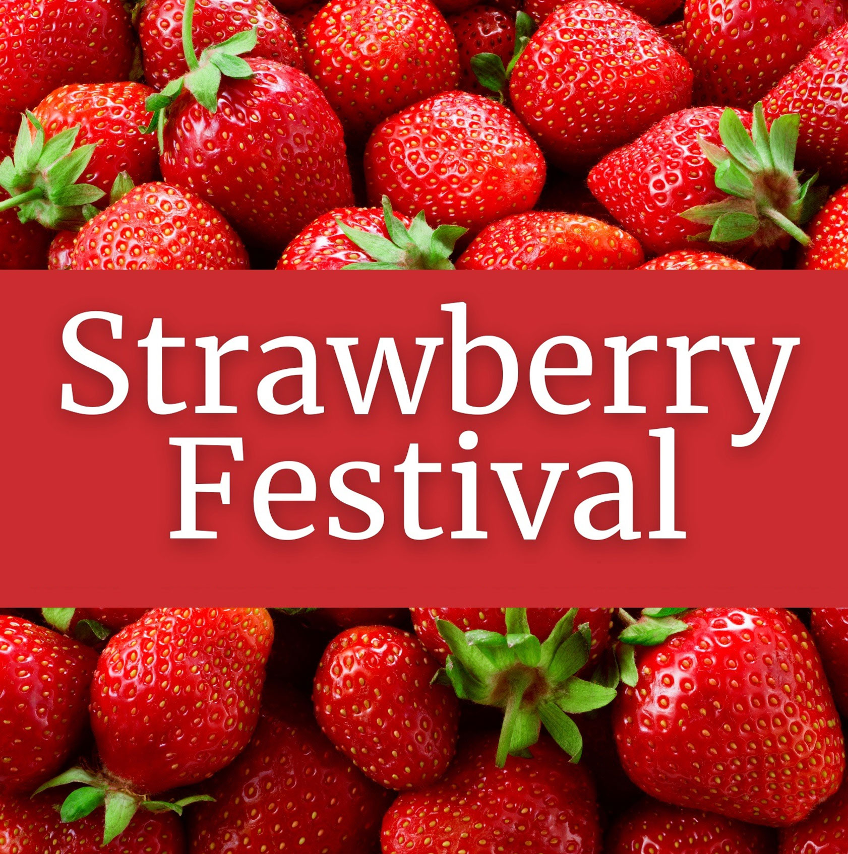 Connecticut's Premier Strawberry Festival at Priam Vineyards