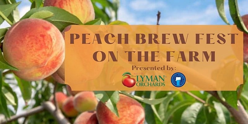 Peach Brew Fest on the Farm at Lyman Orchards