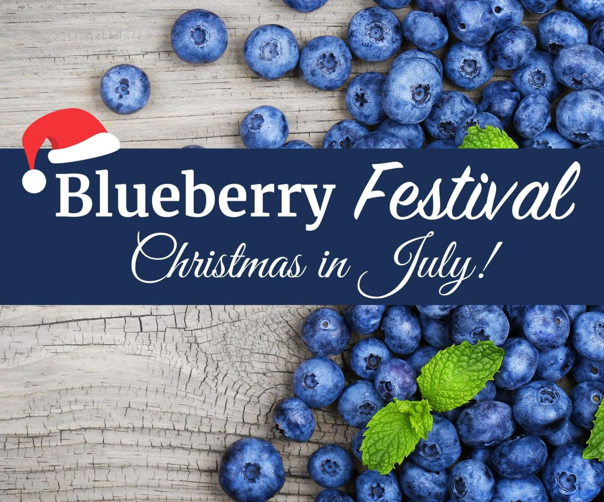 Blueferry Festival at Lyman Orchards