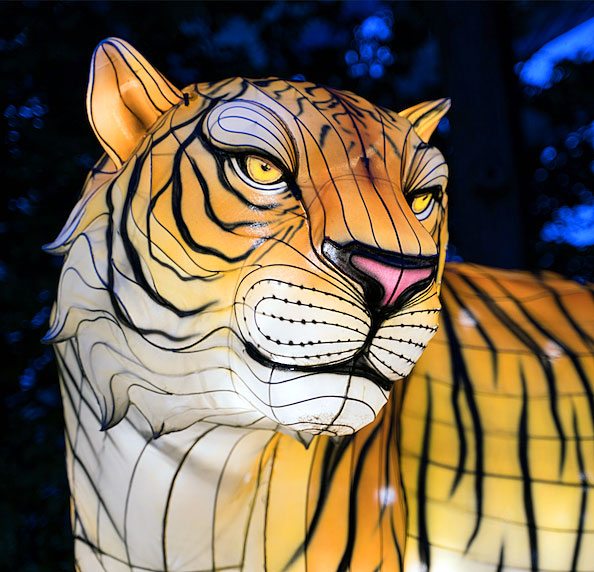 Connecticut’s Beardsley Zoo Glow Wild Lantern Festival