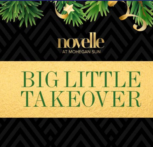 novelle The Big Little Takeover Holiday Party