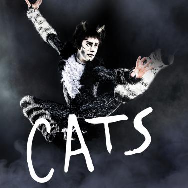 CATS: The Musical at the Palace Theater Waterbury