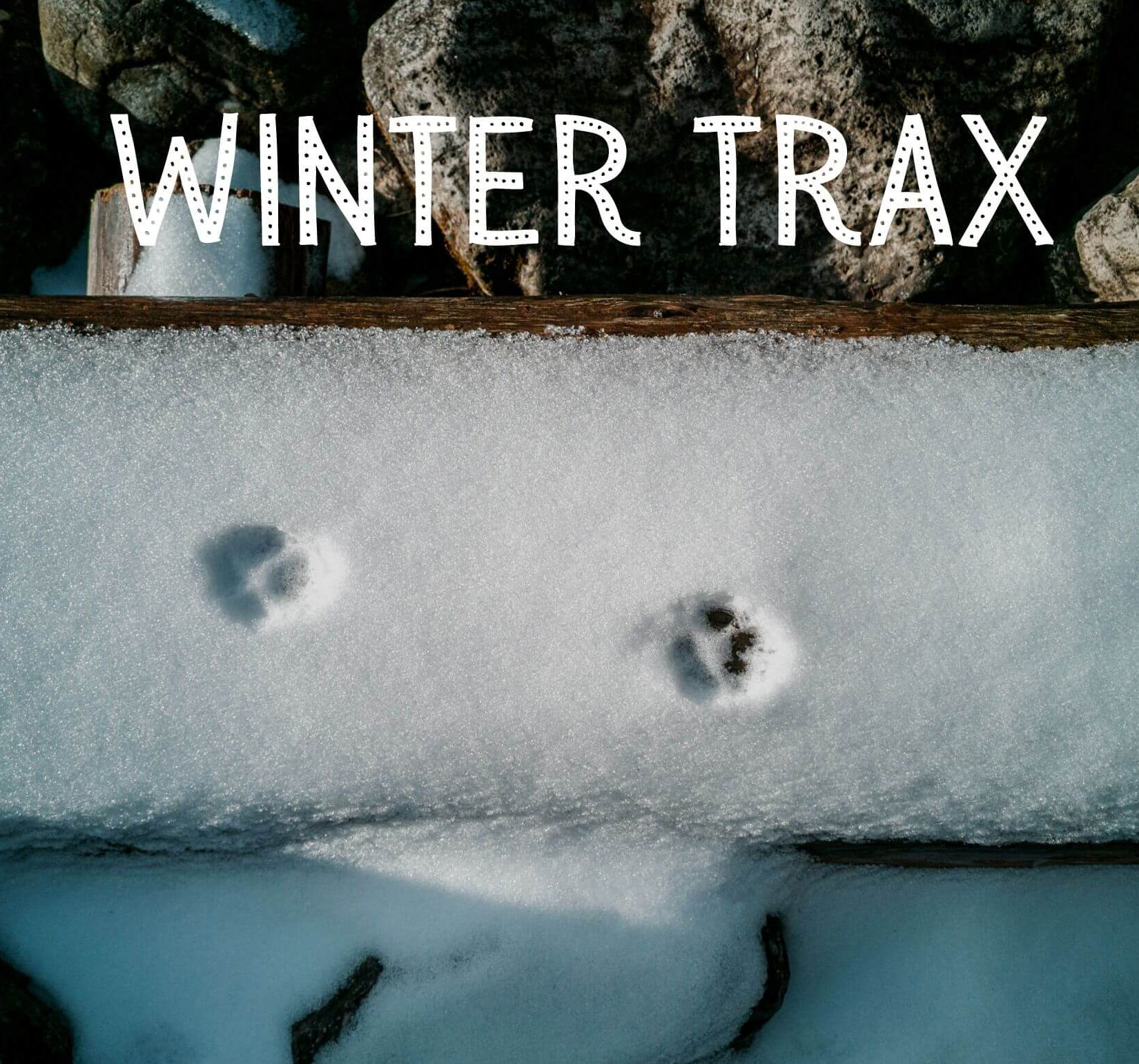Winter Trax Animal Tracking Class at Lyman Orchards
