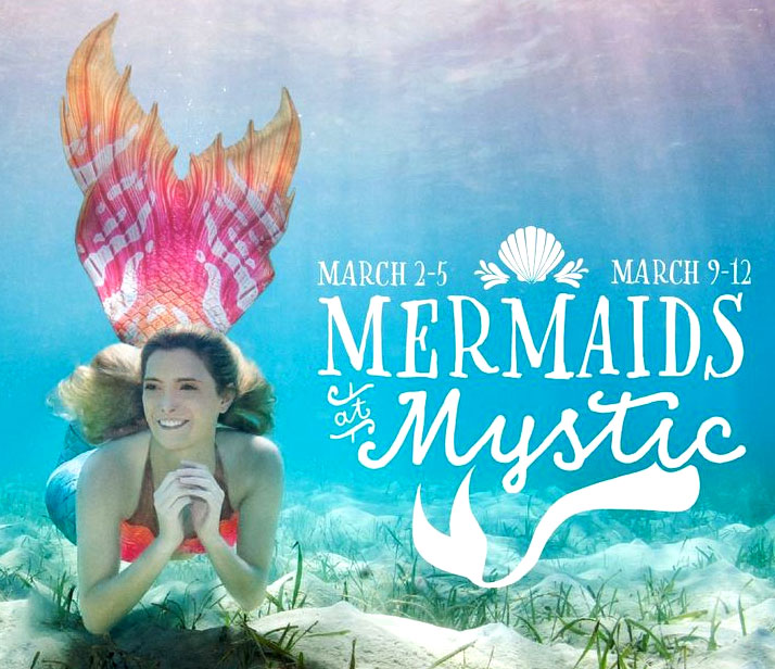 Mermaids at Mystic Aquarium this March