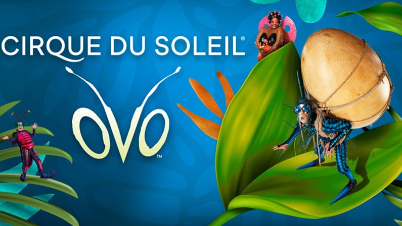 cirque du soleil ovo