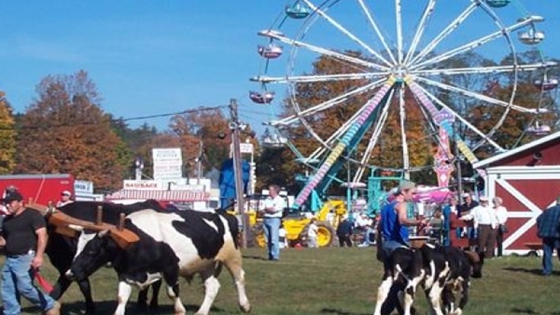 riverton fair