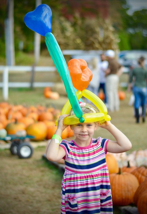 browns harvest pumpkin patch