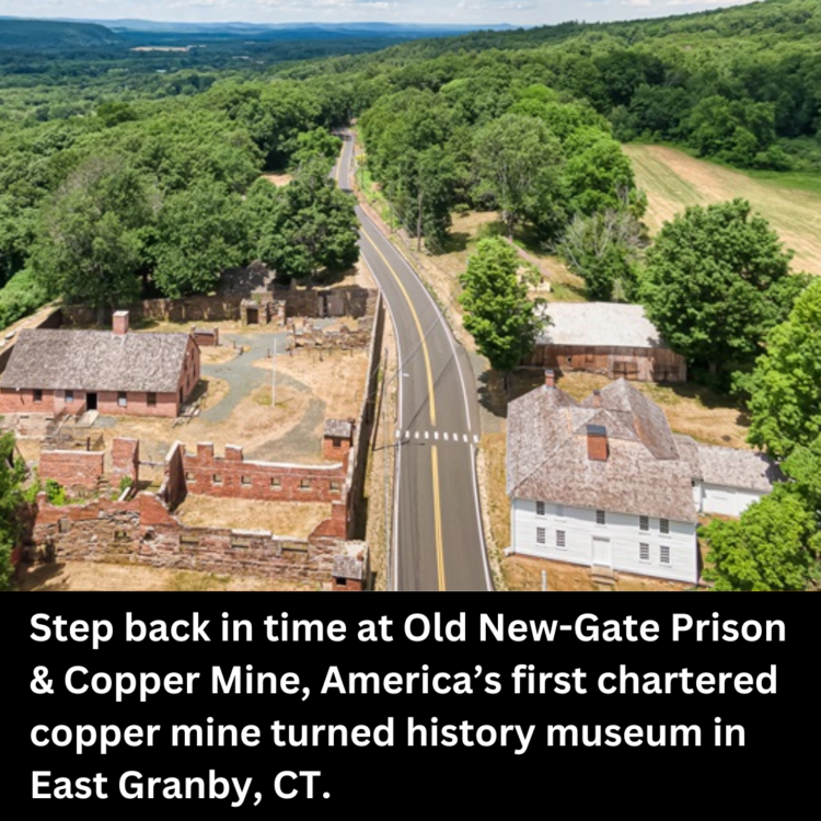 new-gate prison & copper mine