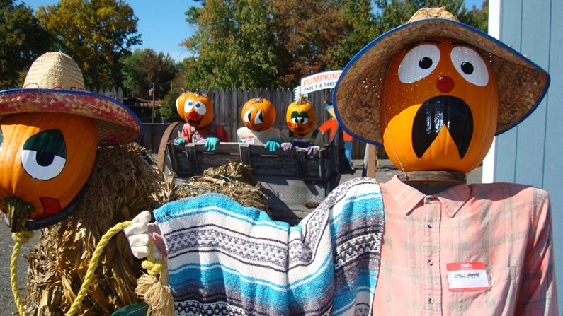 pumpkintown usa