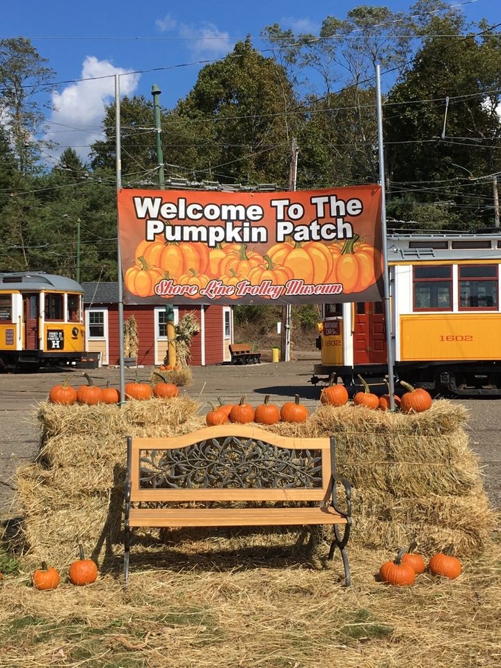 shore line trolley museum pumpkin patch
