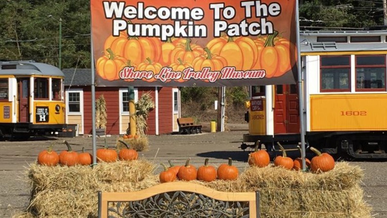 shoreline pumpkin trolley